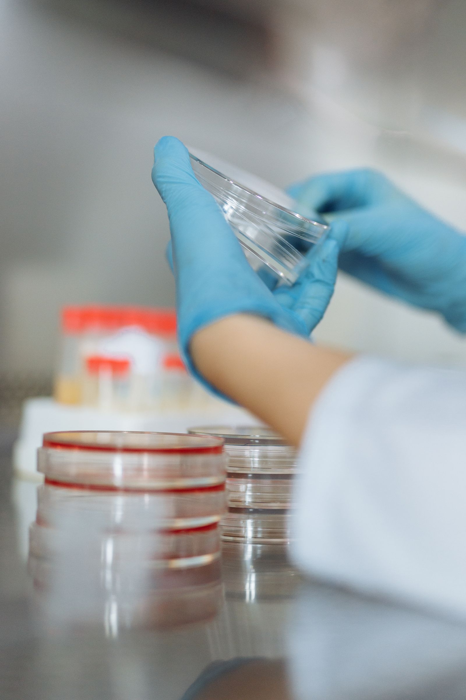 Sterile laboratory flow hood work