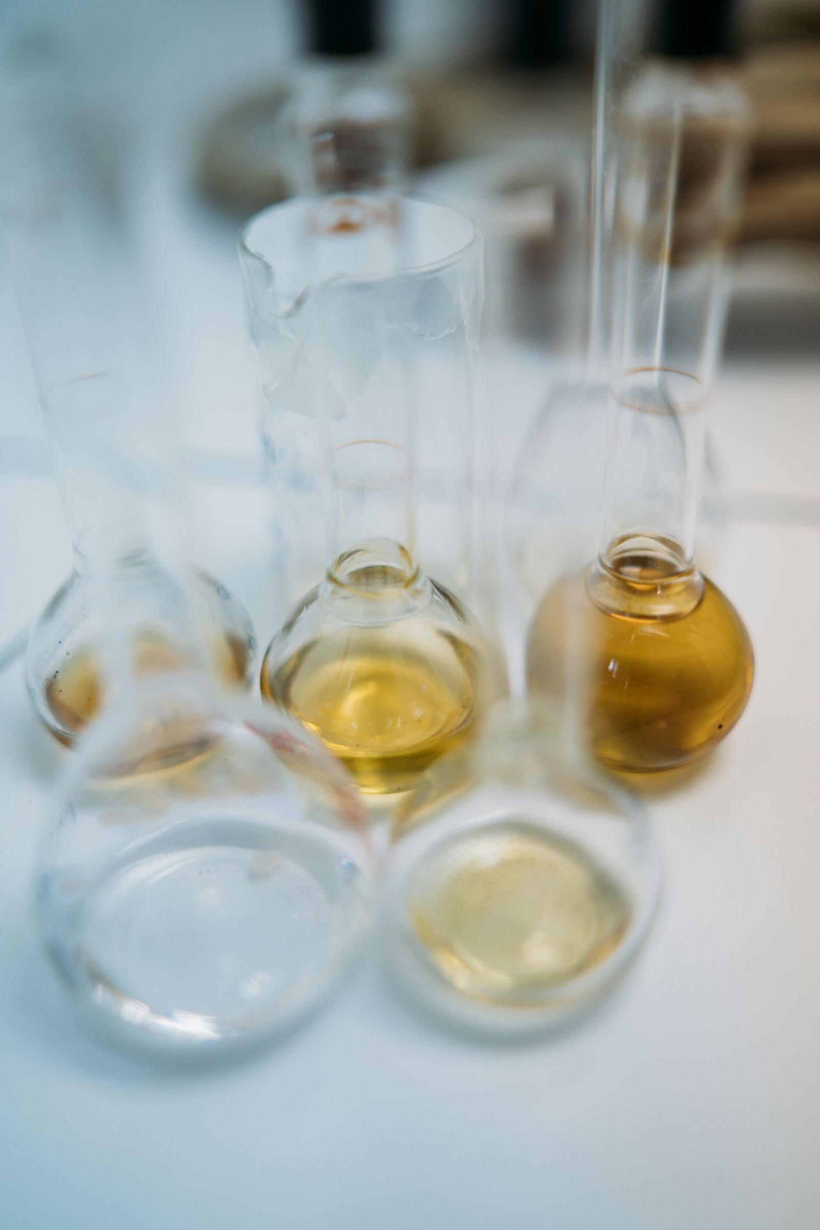 Liquid culture inoculum in the lab
