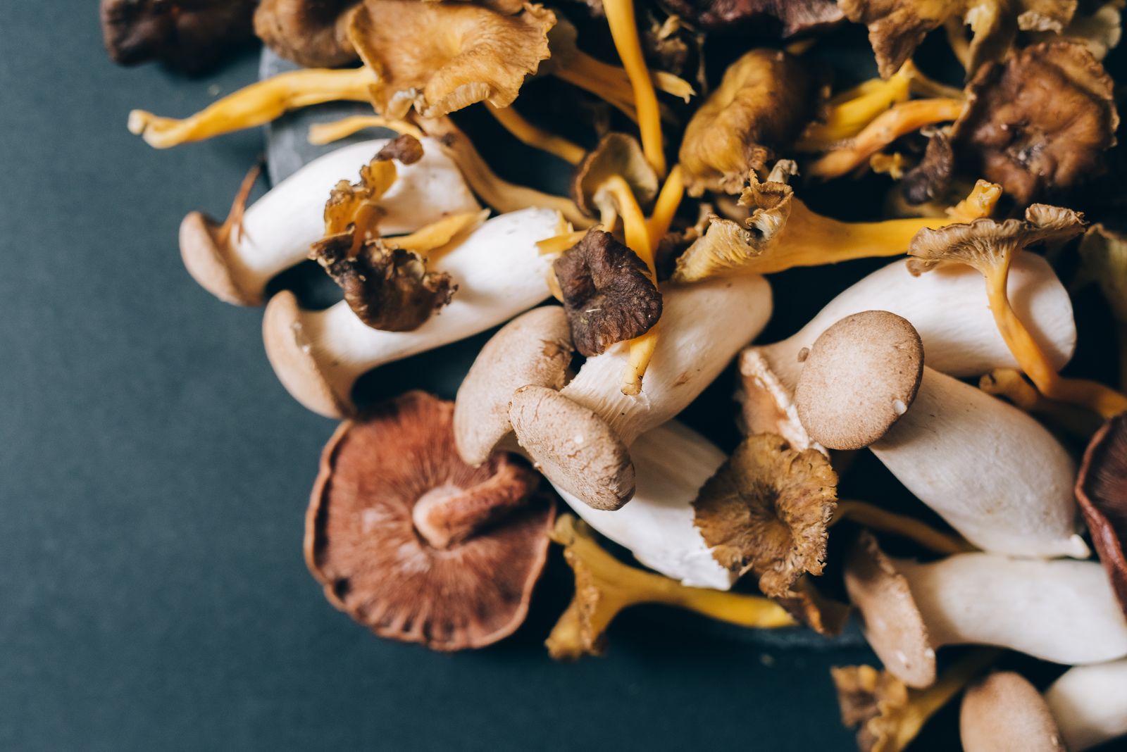 Dried, size-graded mushroom pieces