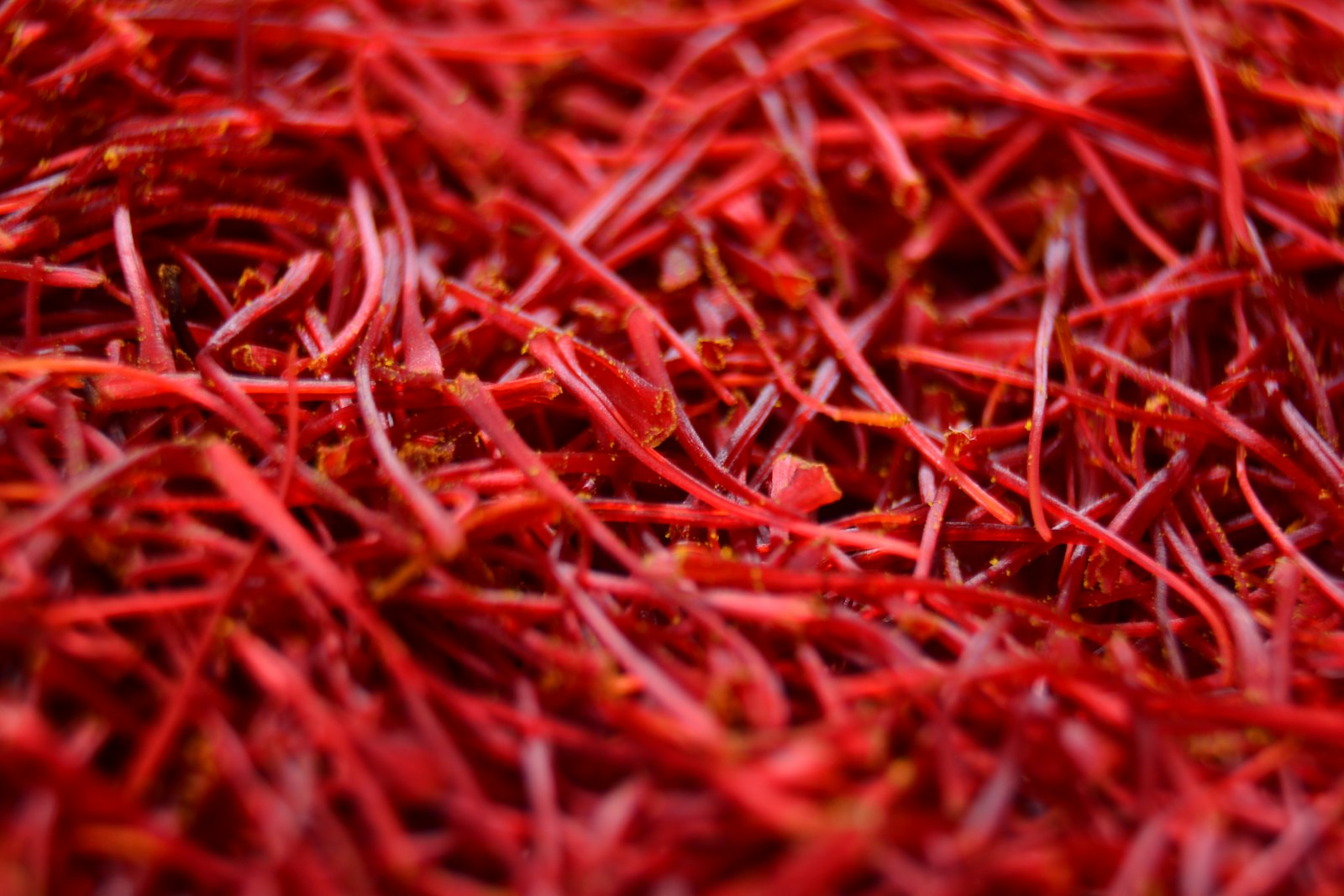 Saffron stigma threads, macro